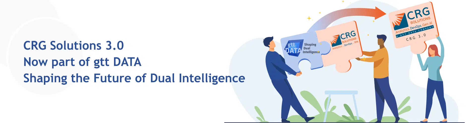 CRG-Solutions-3.0-1.png